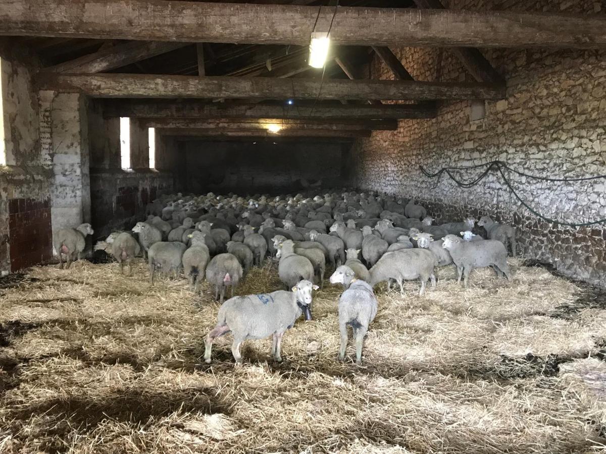 Studio A La Ferme Arles Exterior photo